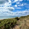 Photo 9: Highcliffe Beach