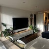 Photo 5: Living room #2
