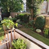 Photo 6: Shared Balcony