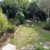 Photo 3: Garden