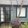 Photo 4: Garden room 