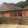 Photo 8: back garden 