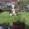 Photo 6: rear garden with 8ft statuary