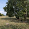 Photo 7: The local park with amazing views