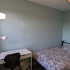 Photo 5: Bedroom 2: Bright & airy room, with lovely leafy view overlooking the garden. £650pcm.