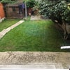 Photo 7: Communal garden