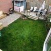Photo 9: Back Garden 