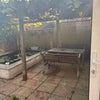Photo 5: Pergola and  pond 