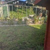 Photo 6: Back garden