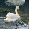 Photograph of Hema