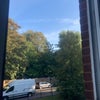 Photo 5: Garden View from the room's window