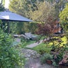 Photo 5: Secluded garden