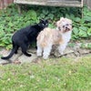 Lucy\'s picture