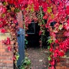 Photo 9: back door entrence