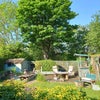 Photo 6: Garden