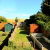 Photo 16: Garden and shed storage with view of South Downs