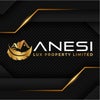 Photograph of Anesi Lux Property Limited