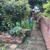 Photo 6: Garden