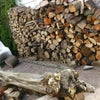Photo 7: Wood store in yardine