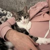Photo 6: rescued kitten