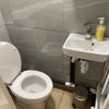 Photo 6: Second bathroom with shower