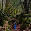 Rohan\'s picture