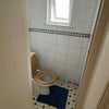 Photo 4: Second Toilet