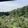 Photo 7: View of allotments