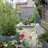 Photo 7: garden
