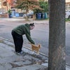 Photo 3: Street cat