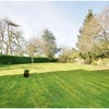 Photo 9: Garden area