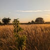 Photo 7: surrounding fields