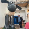 Tom\'s picture