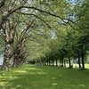 Photo 8: Wandsworth Park