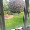 Photo 9: BACK GARDEN 