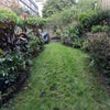 Photo 7: Shared cottage garden