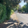 Photo 9: Leafy, Quiet Road  In Ashley Cross Village