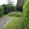 Photo 3: Garden