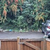 Photo 6: huge parking at the back