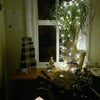 Photo 3: A bit of twinkly winter cheer