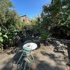 Photo 9: Garden