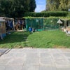 Photo 7: Garden