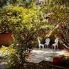 Photo 7: Garden