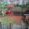 Photo 7: Lawned back garden