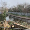 Photo 7: Canel view from room 1