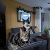 Photo 8: Apolo & Oscuridad