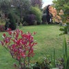 Photo 5: Garden