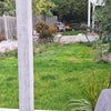 Photo 7: Large garden & seating