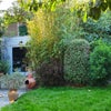Photo 9: Garden