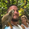 Lewis\'s picture